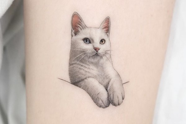 tatouage de chat stylisé, tatouage de chat minimaliste, tatouage chat
