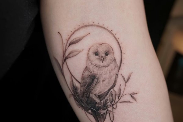 tatouage chouette