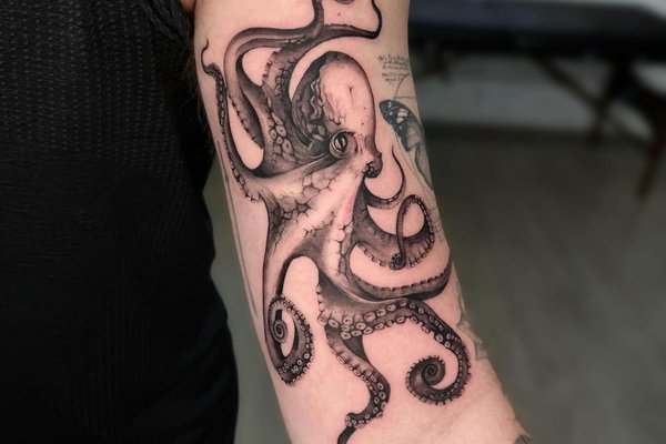 tatouage pieuvre