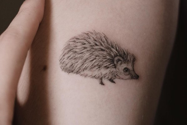 tatouage hérisson