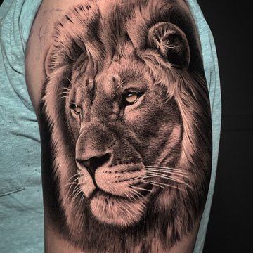 tatouage lion
