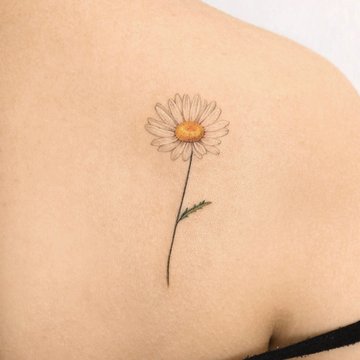 tatouage marguerite