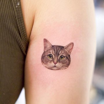 tatouage de chat stylisé, tatouage de chat minimaliste, tatouage chat