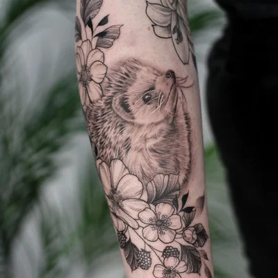 Sitemapcdatahttpsshopinf Inetcommodele Tatouage Herisson