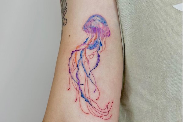 tatouage méduse