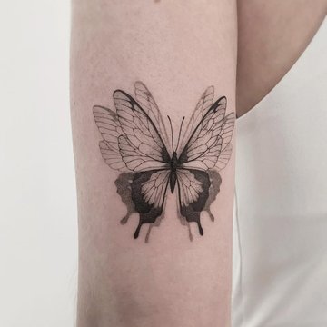tatouage minimaliste de papillon