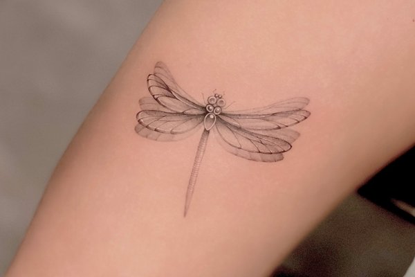 tatouage libellule