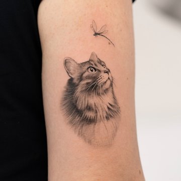 tatouage de chat stylisé, tatouage de chat minimaliste, tatouage chat
