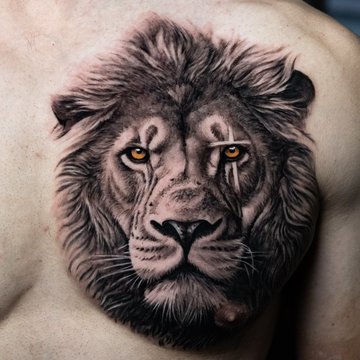 tatouage lion