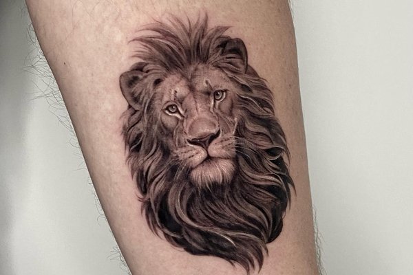 tatouage lion