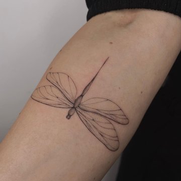 tatouage libellule