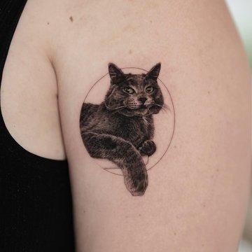 tatouage de chat stylisé, tatouage de chat minimaliste, tatouage chat