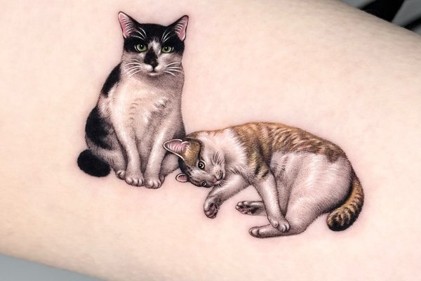 tatouage de chat stylisé, tatouage de chat minimaliste, tatouage chat