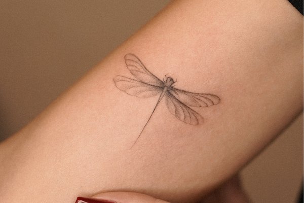 tatouage libellule
