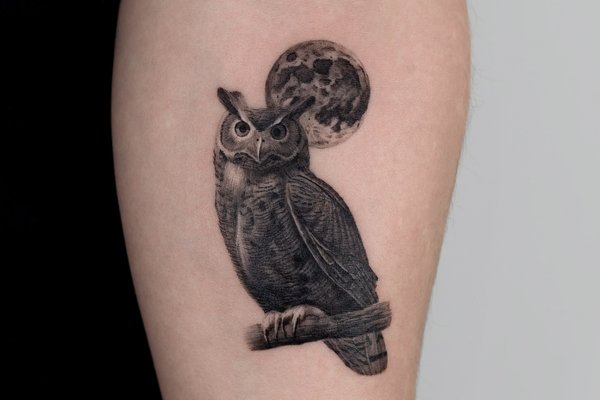 tatouage chouette
