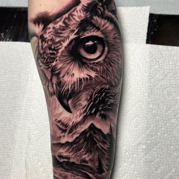 tatouage chouette