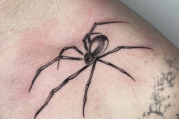 tatouage araignée