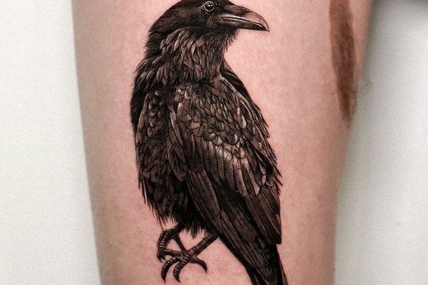 tatouage corbeau