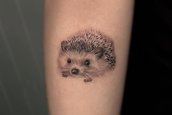 tatouage hérisson