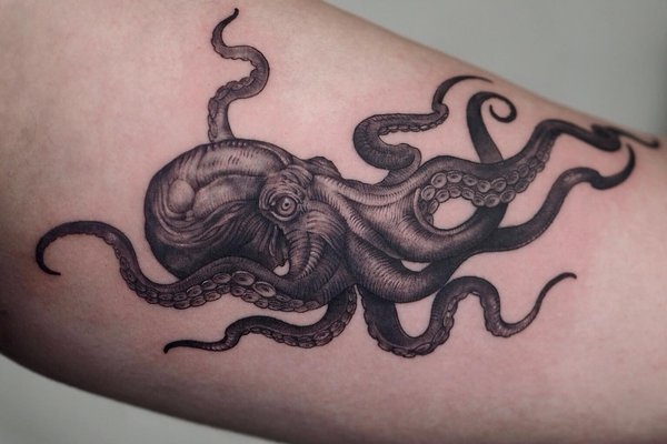 tatouage pieuvre