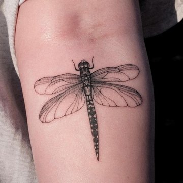 tatouage libellule