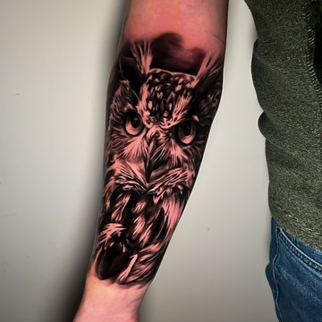 tatouage chouette