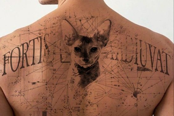 tatouage dos homme