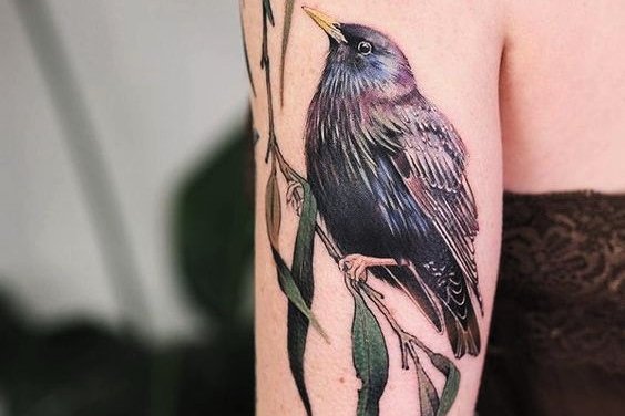 tatouage épaule femme